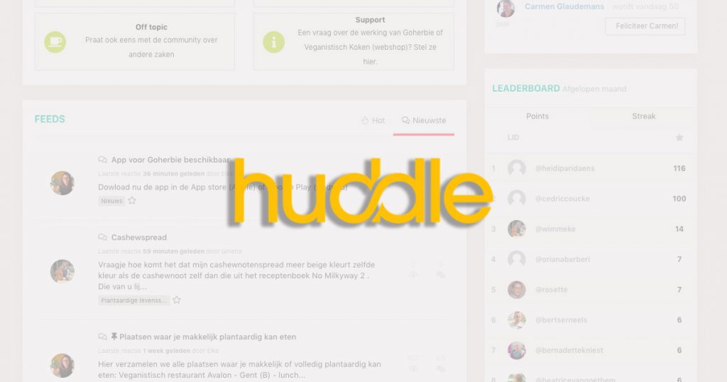 Huddle review - mijn ervaring met deze community, forum en e-learning software
