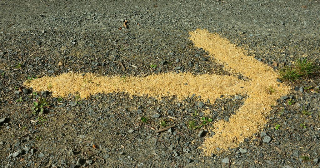 Wat is een lead en hoe genereer je die?