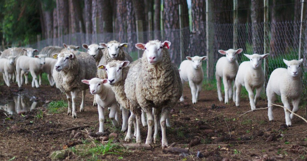 Wat is een online community en hoe start je ermee?