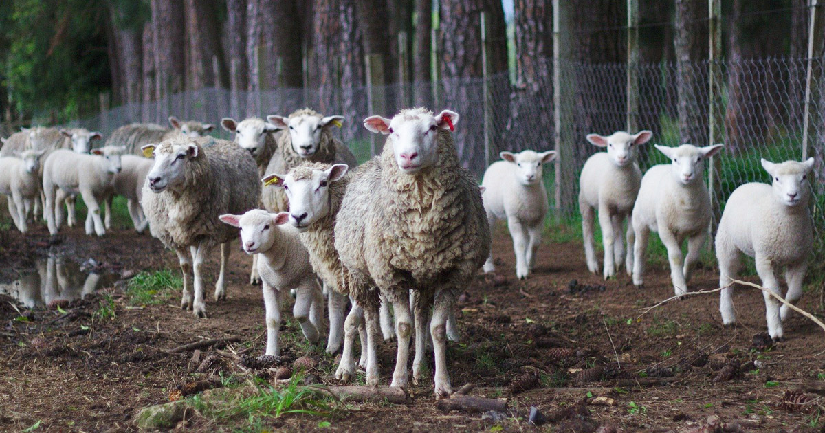 Wat is een online community en hoe start je ermee?